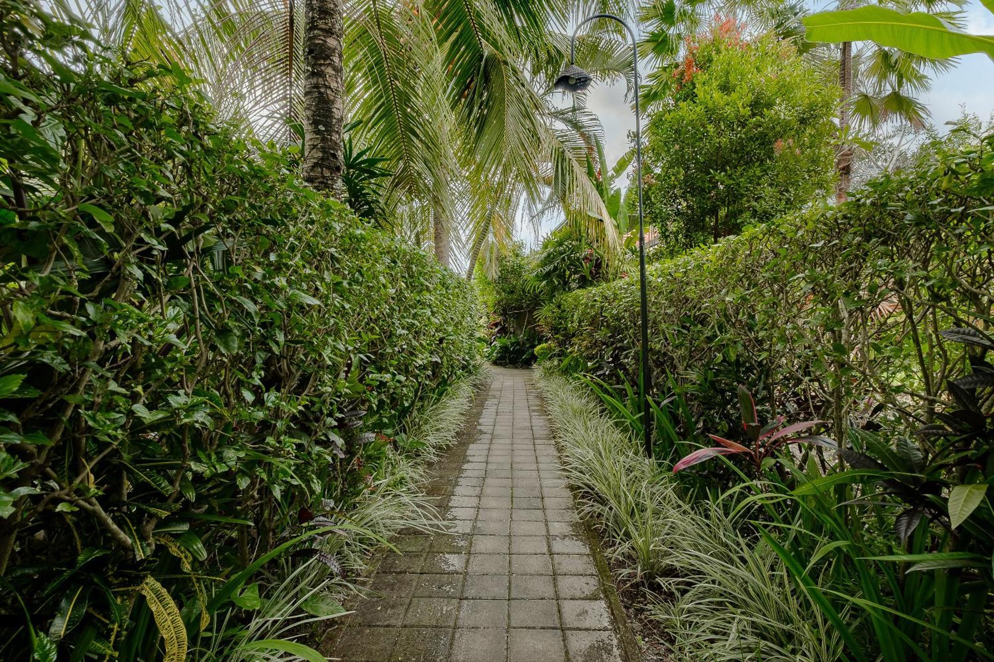 Puri Sedana Ubud Villa Kültér fotó